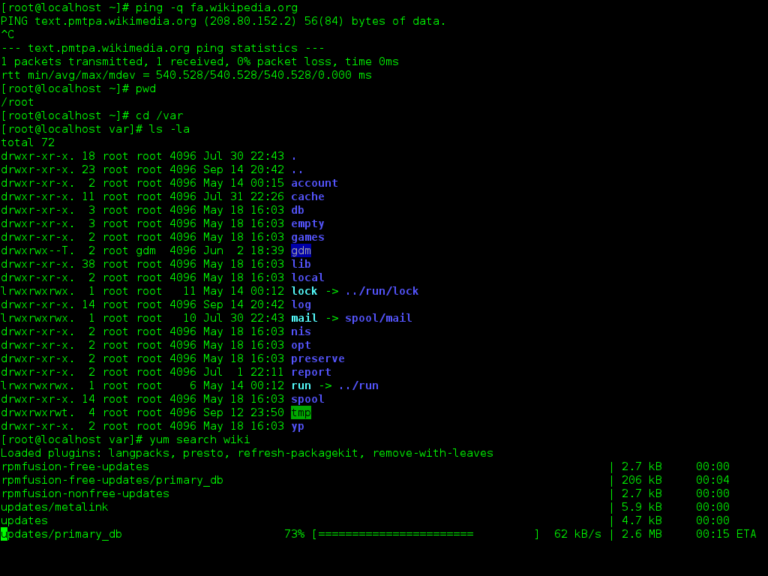 linux-command-line-bash-gnome-terminal-screenshot-programaria